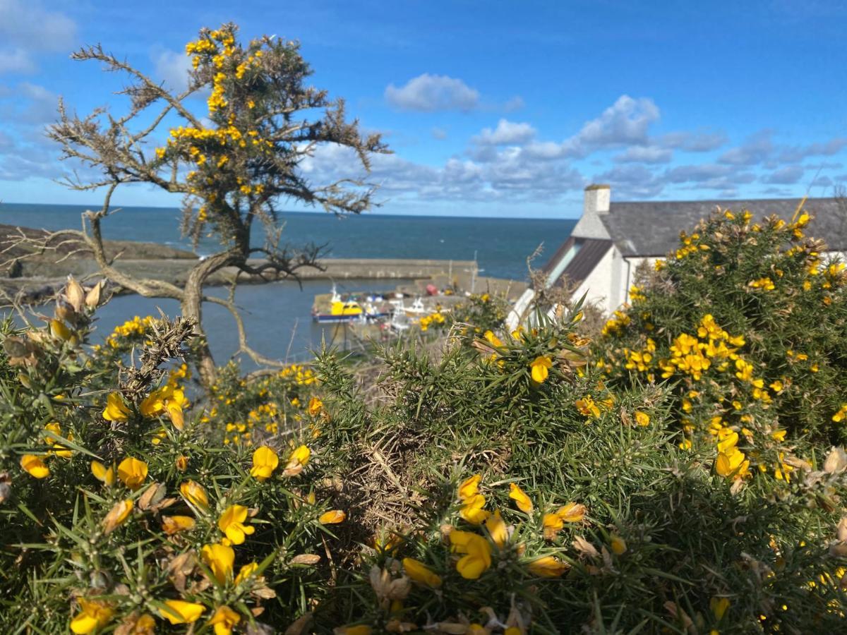 Converted Chapel - Sant Pedr Newydd - With Sea Views Amlwch Exterior foto
